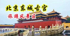 欧美大黑棒搞亚洲美女中国北京-东城古宫旅游风景区